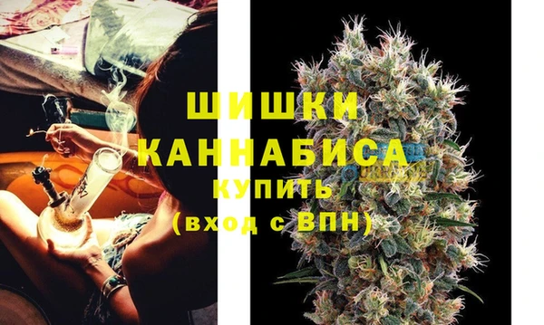 гидропоника Алзамай