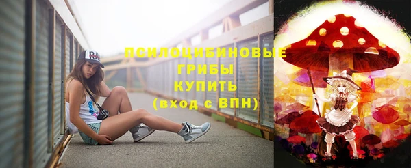 ПСИЛОЦИБИНОВЫЕ ГРИБЫ Покачи